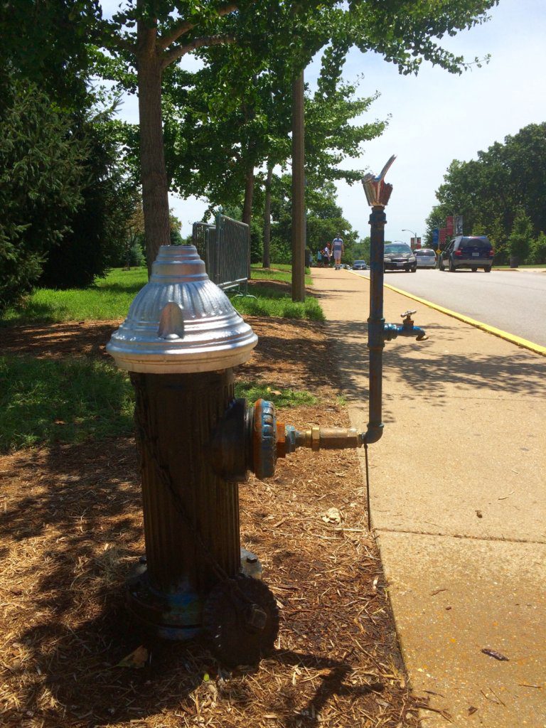 fire hydrant with a water fountain attachment in Forest Park