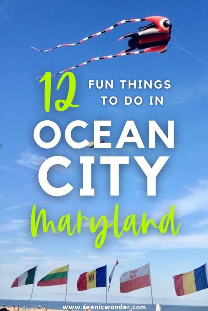 12 Fun Things to do in Ocean City MD