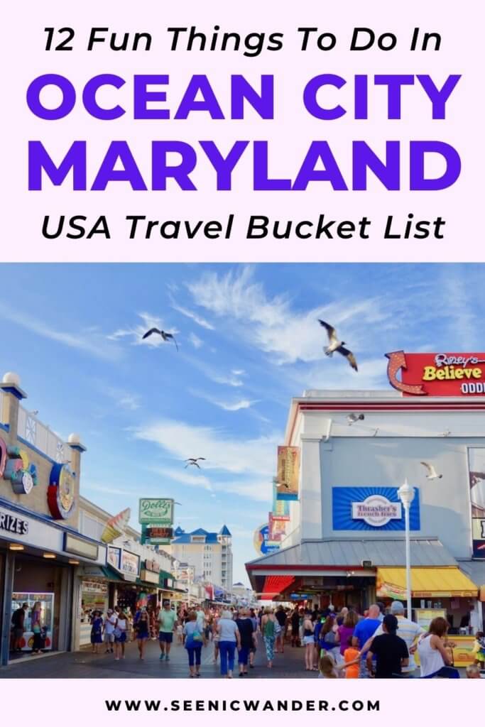 12 fun things to do in ocean city maryland