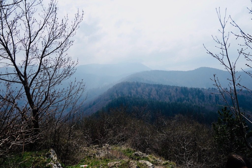 Hiking Tampa Mountain for the Best View in Brasov