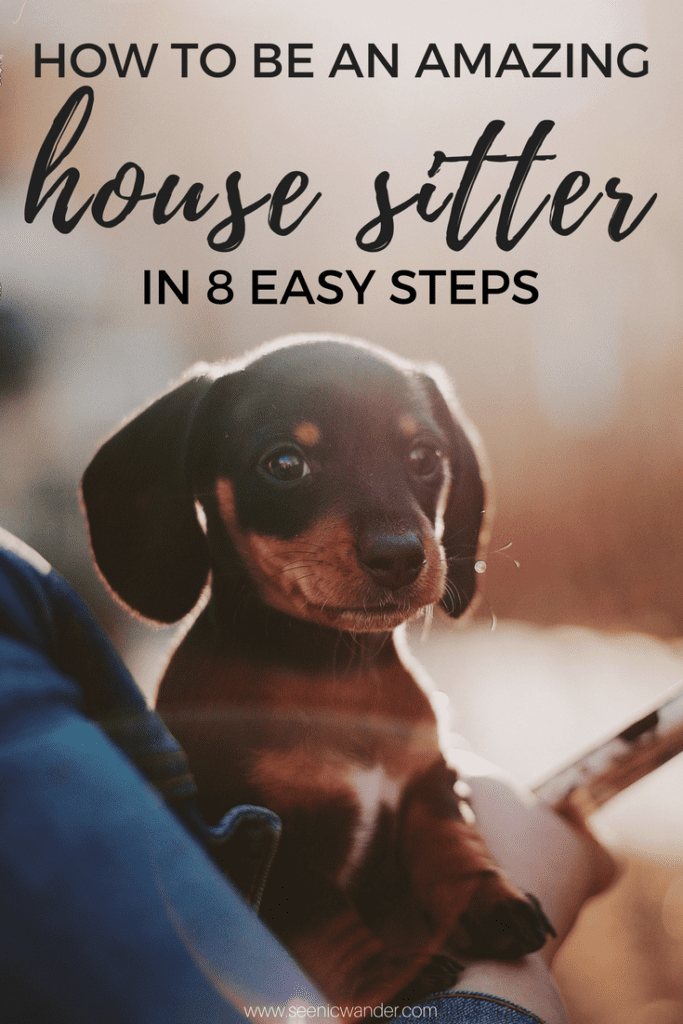 how to be an amazing house sitter