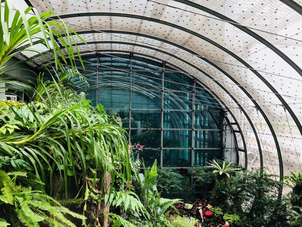 Butterfly Garden in the Singapore Airport | Things to do in the Singapore Airport 