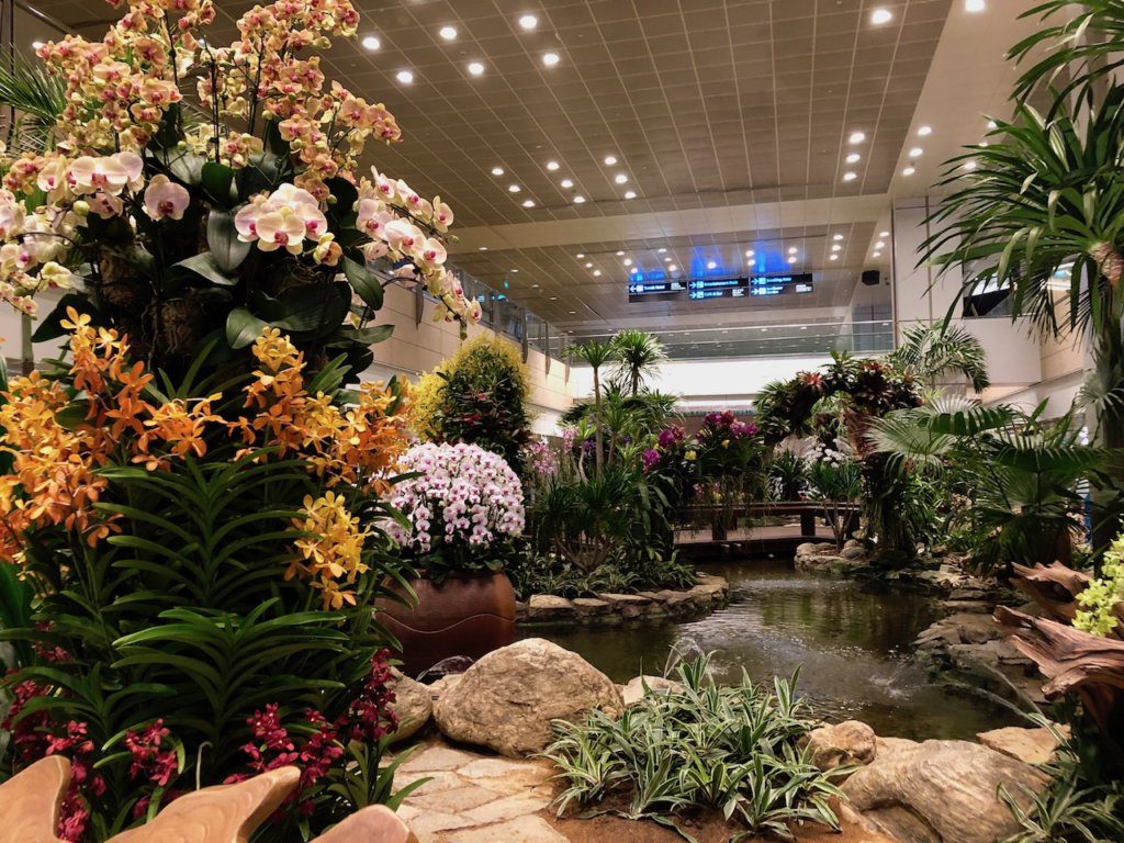 Orchid Garden in the Singapore Airport | Things to do in the Singapore Airport | Singapore Airport Long Layover