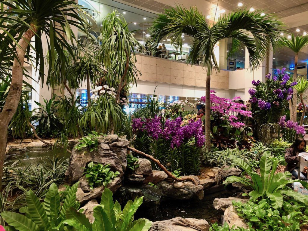 Orchid Garden in the Singapore Airport | Things to do in the Singapore Airport