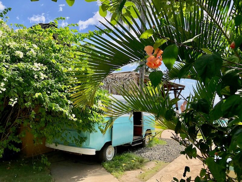 Selina Playa Venao Panama Review, A blue vw bus on the beach with orange tropical flowers around it