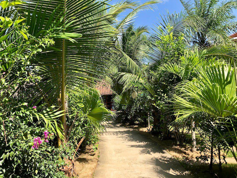 Hostel Selina Playa Venao Panama looks like a tropical jungle, palm leaves and pink flowers line the walk way.