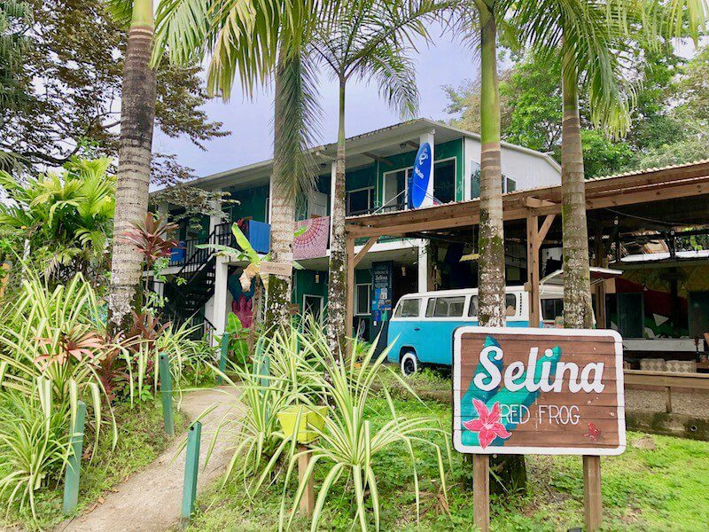 Selina Red Frog Review Hostel