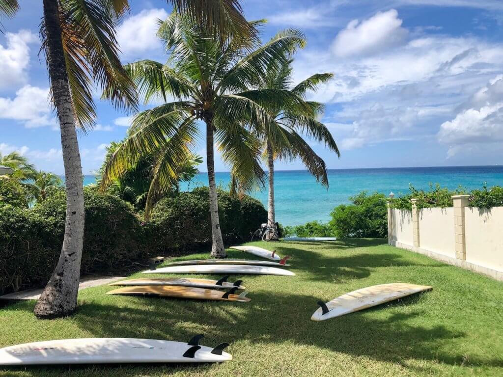 Surf boards lying in the grass next to a beach with palm trees in South Coast Barbados