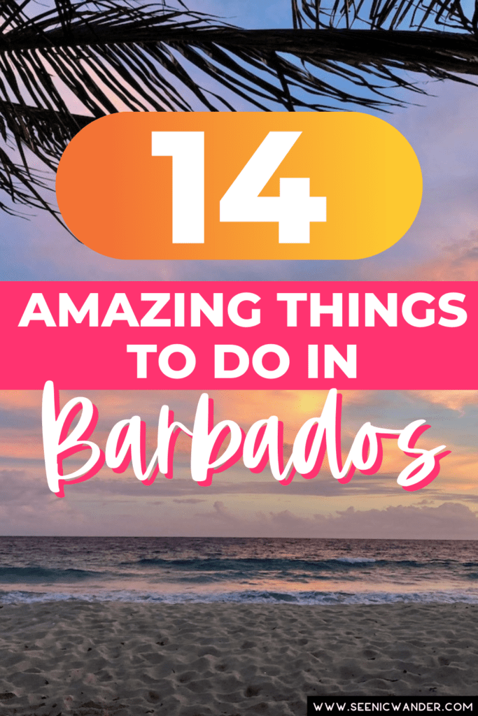 14 amazing things to do in Barbados