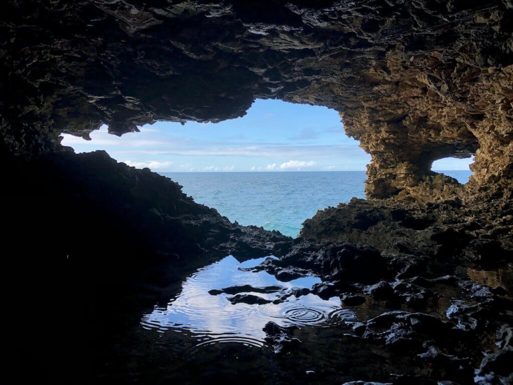 view from inside animal flower cave, one of the best barbados attractions