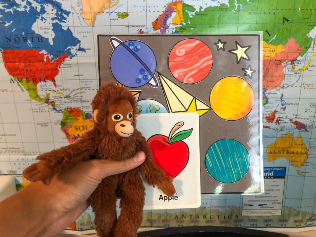teacher holds a monkey toy, flashcards, and printable props for teaching english online in front of a world map