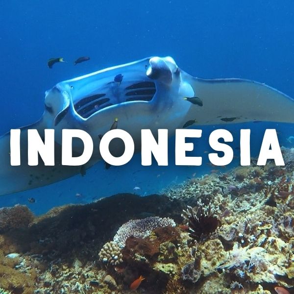 indonesia travel guides