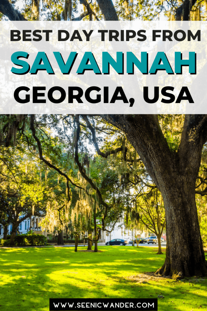 Park with an oak tree with text overlay that reads, "Best Day Trips From Savannah Georgia, USA"
