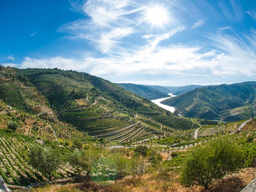 Vineyards and rolling hills in the Douro Valley