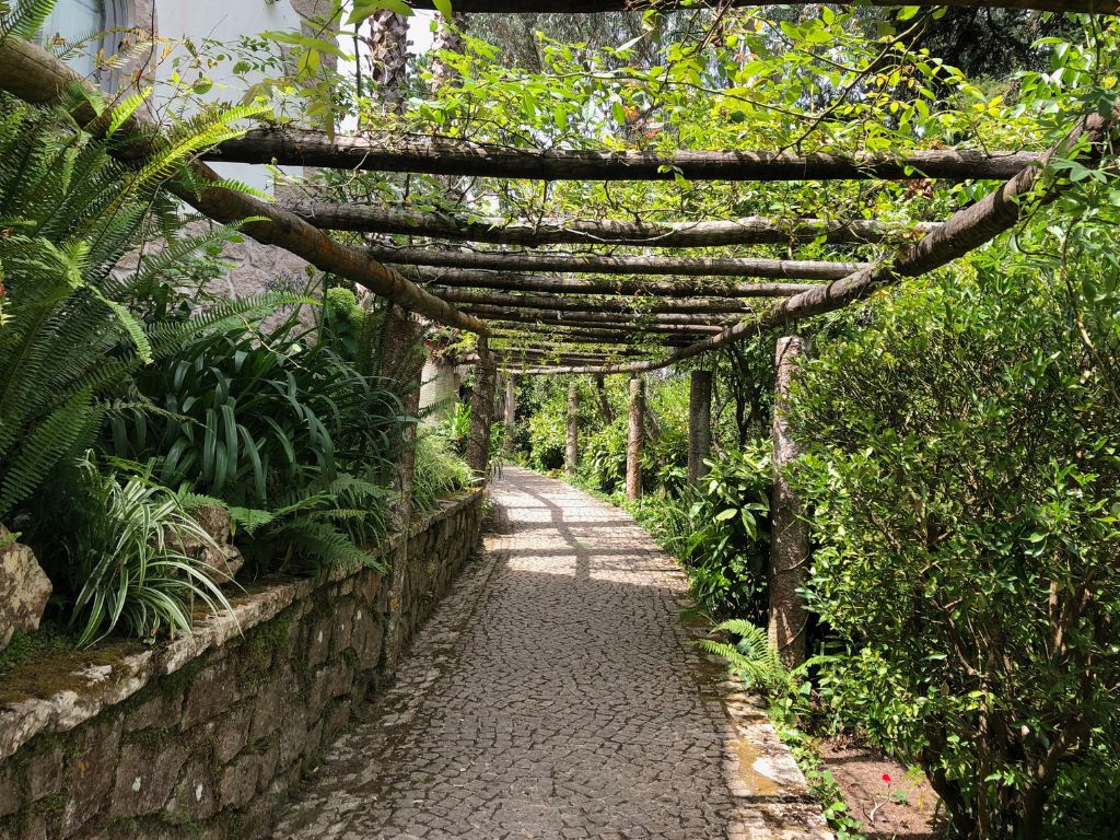 A stone path with trees and plants surrounding it and a wooden shade awning