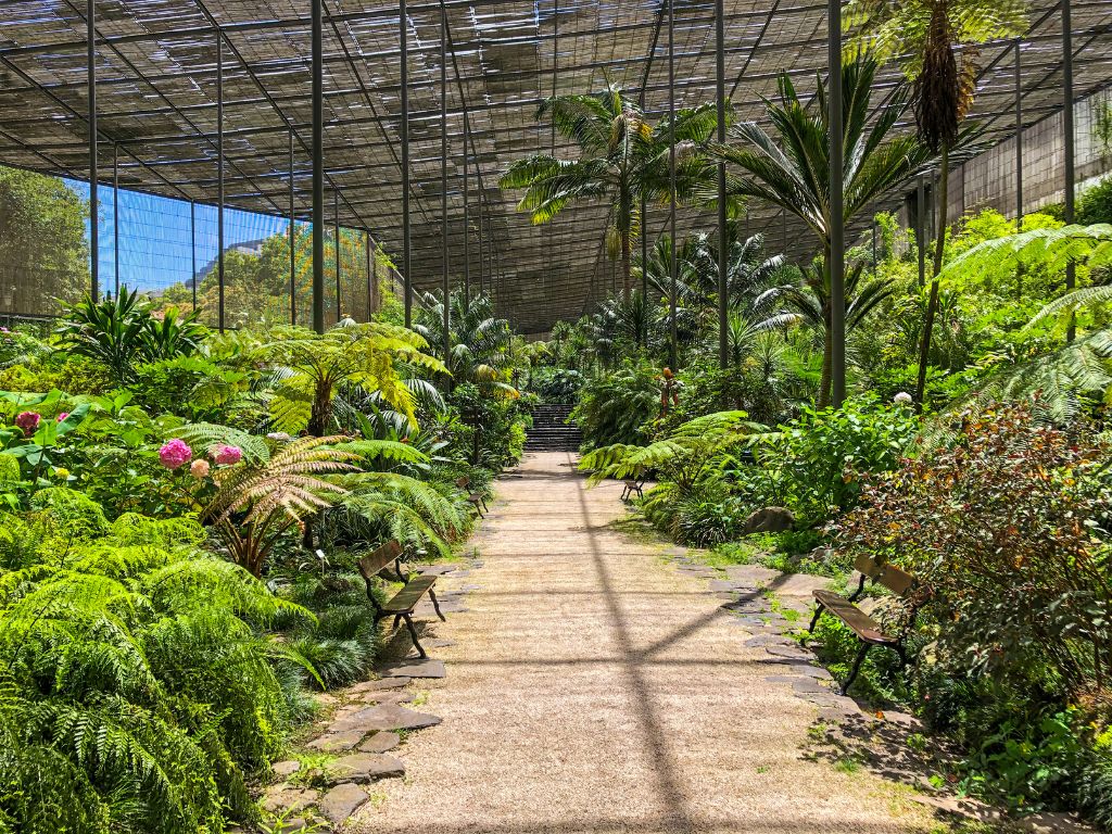 A view inside Estufa Fria, an indoor botanical garden in Lisbon