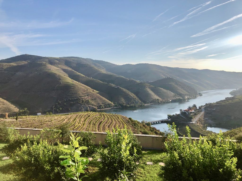 A view of the douro river in the Douro Valley surrounded by vineyards